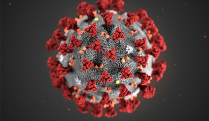 Corona Virus Precautionary Measures – Temporary Closure Of Client Services Office